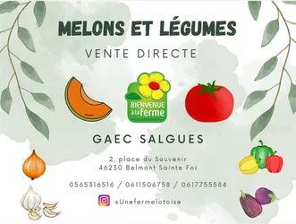 Logo GAEC DE SALGUES : Melons et légumes