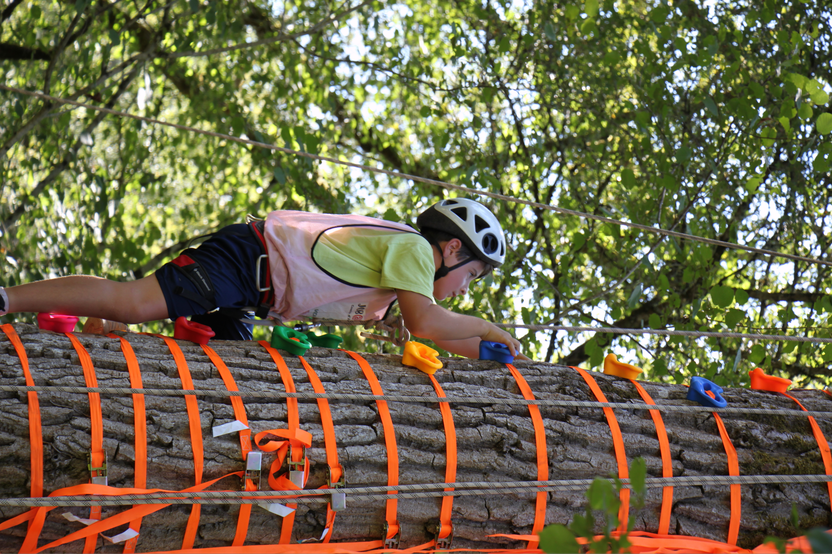 Enfant grimpant à un arbre